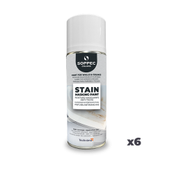 Stain masking paint