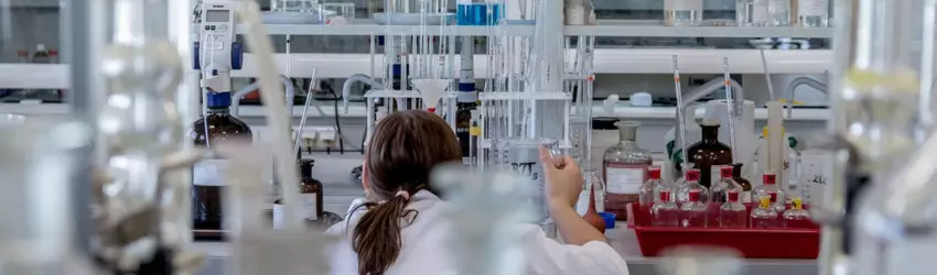 lab